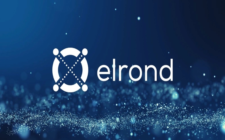 Elrond MultiversX Blockchain (EGLD)