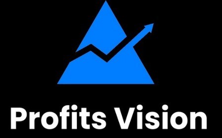 Profits Vision - website and account types
